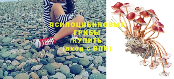 мяу мяу мука Новозыбков