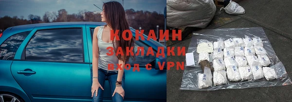 сатива Гусев