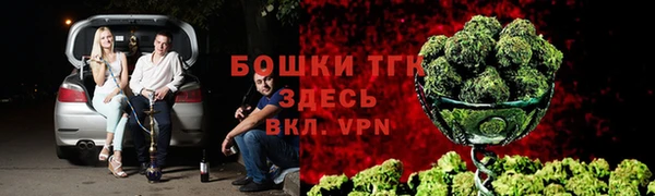 сатива Гусев