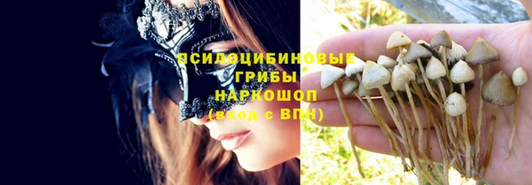 мяу мяу мука Новозыбков