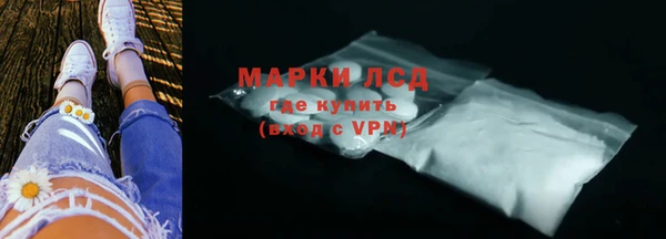 сатива Гусев