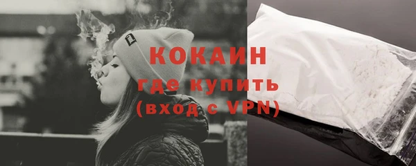 дурь Гусиноозёрск
