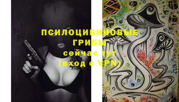 PSILOCYBIN Гусь-Хрустальный