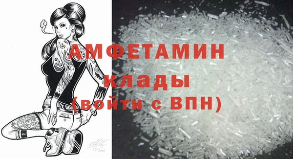 PSILOCYBIN Гусь-Хрустальный