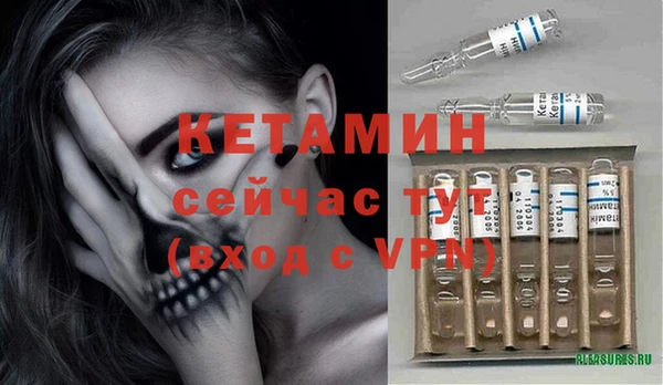 сатива Гусев