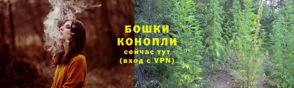 дурь Гусиноозёрск