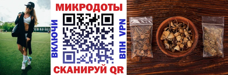 Псилоцибиновые грибы Cubensis  Камышлов 