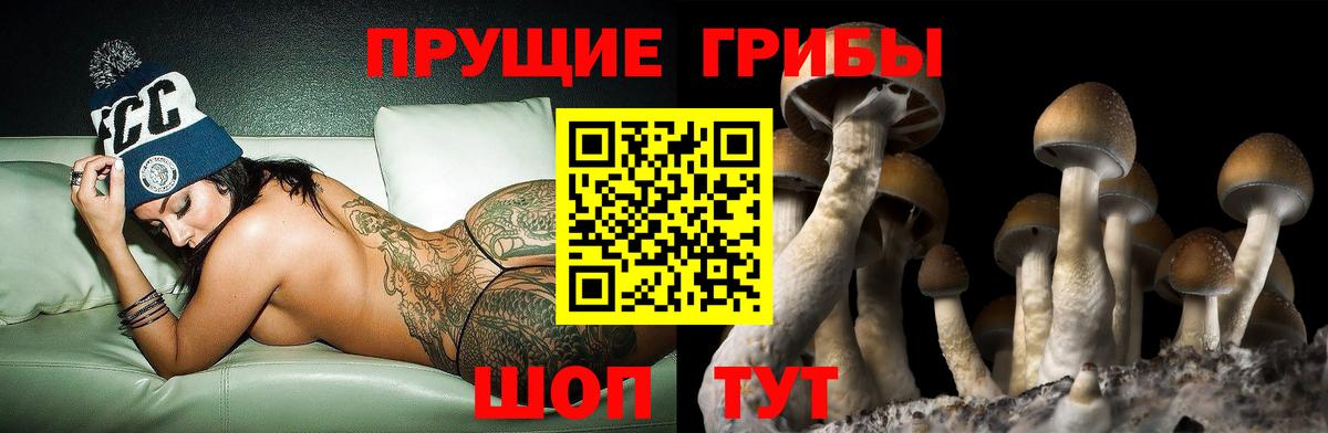Камышлов  Галлюциногенные грибы мухоморы  Галлюциногенные грибы Magic Shrooms  Вход с VPN 