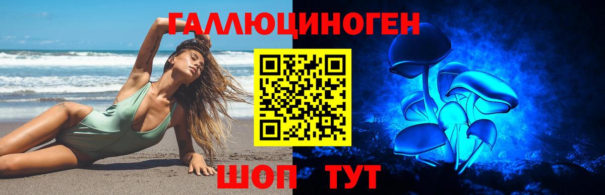 Псилоцибиновые грибы Cubensis Камышлов